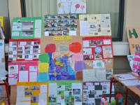 Click for larger image.