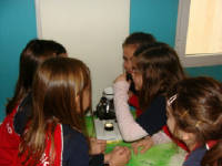 Click for larger image.