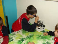 Click for larger image.