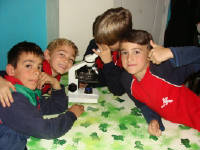 Click for larger image.