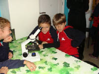 Click for larger image.