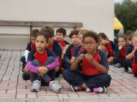 Click for larger image.