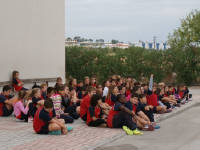 Click for larger image.