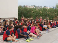 Click for larger image.