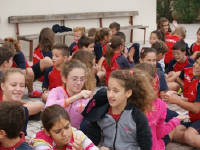 Click for larger image.