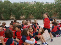 Click for larger image.