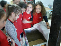 Click for larger image.