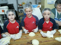 Click for larger image.