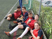 Click for larger image.