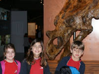 Click for larger image.