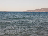 Click for larger image.