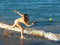 Click for larger image.