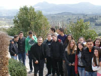 Click for larger image.