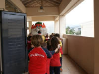 Click for larger image.