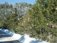 Click for larger image.