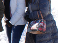 Click for larger image.