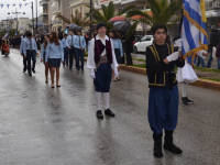 Click for larger image.