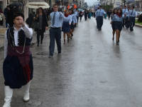 Click for larger image.