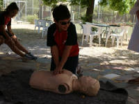 Click for larger image.