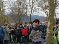 Click for larger image.