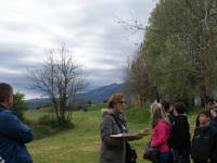 Click for larger image.