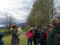 Click for larger image.