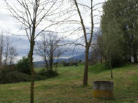 Click for larger image.