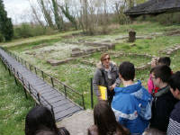 Click for larger image.