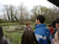 Click for larger image.