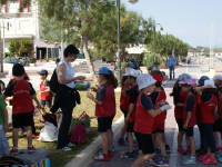 Click for larger image.