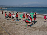 Click for larger image.