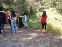 Click for larger image.