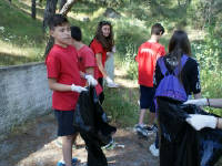 Click for larger image.