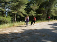 Click for larger image.