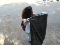 Click for larger image.