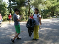 Click for larger image.