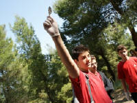 Click for larger image.