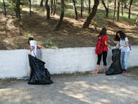 Click for larger image.