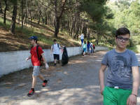 Click for larger image.