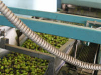 Click for larger image.