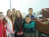 Click for larger image.