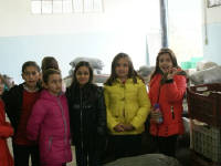 Click for larger image.