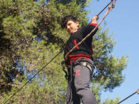 Click for larger image.