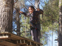 Click for larger image.