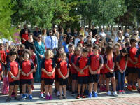 Click for larger image.