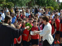 Click for larger image.