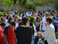 Click for larger image.