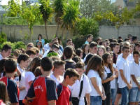 Click for larger image.