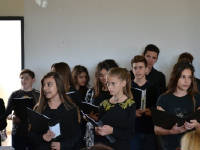 Click for larger image.