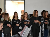 Click for larger image.